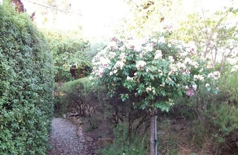 Briar Rose Cottages 스탄소프 컨트리하우스